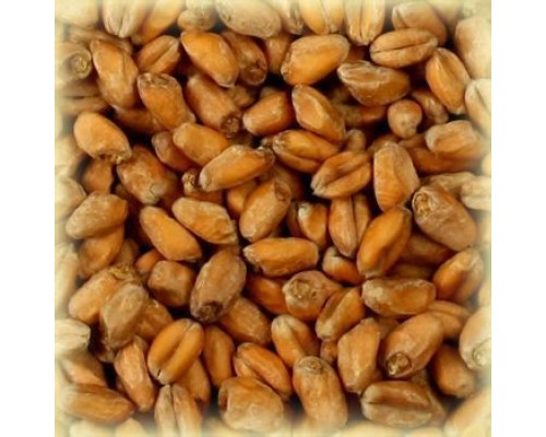 Солод пшеничный 4.5 EBC (Soufflet), 1 кг.